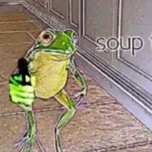 Meet your Posher, Perla